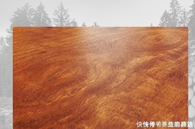 缅甸|价格是海黄百分之一,却是“万人迷”!这种红木凭什么笑傲红木界!