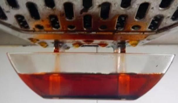 废油|厨房里这3样垃圾,废油、鸡蛋壳、淘米水,拿来养花效果一级棒