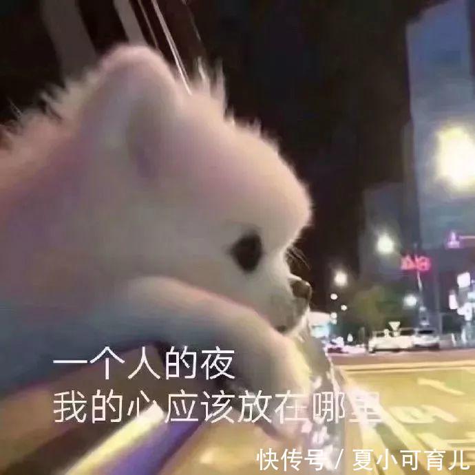 苏秘|大牌气垫那么多,良心推荐这5款!苏秘水润,CPB更保湿,孕妇可用