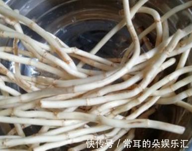 排毒养颜|减肥最该吃的菜，每周吃三次，清肠刮油，高营养高纤维，越吃越瘦