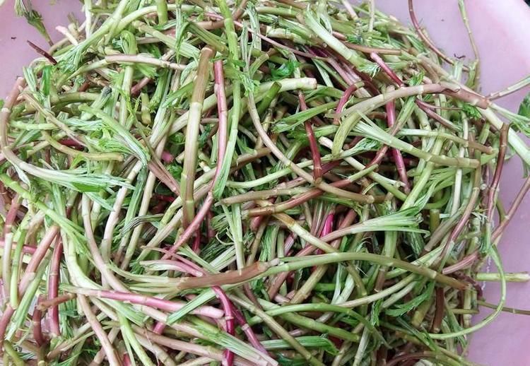  护肤|很有营养的3种食物，排毒养颜、美白护肤，谁吃谁受益！