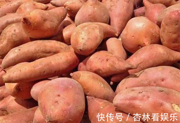 气血|“红薯”补气血防癌助长寿,警告2大“禁忌”要牢记,乱吃致病