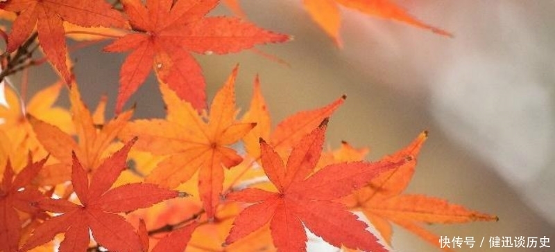 令人心醉|杜牧最经典的一首诗,美得令人心醉,成为描写秋天最唯美的一首诗