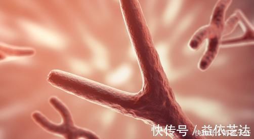 精神障碍|专家提醒:父母有3种疾病,你们的孩子也可能“传承”!