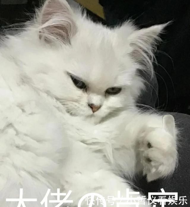 毛戈平超厉害的眼型矫正术，实用