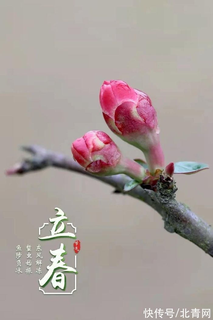 节气|新华全媒+丨在中国古诗词里，寻找北京冬奥的“节气密码”