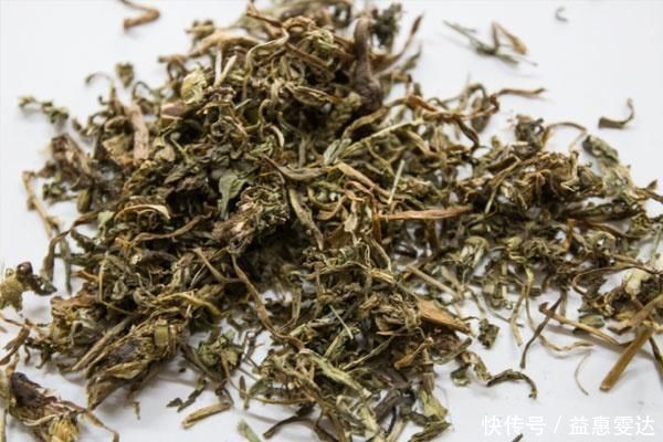 蒲公英水|中医上认为蒲公英是“排毒草”，为何如此说？三种情况不可喝