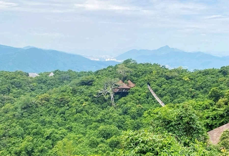 热带雨林|不一样的热带雨林，不一样的美丽风景——游亚龙湾热带天堂森林公园