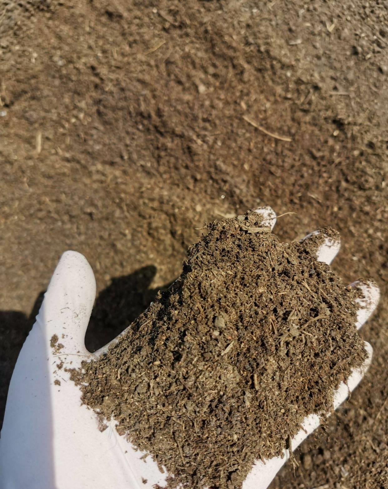 养花用好土长得旺,教你改善土壤的技巧