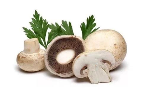 蘑菇|70岁的大爷为何看起来像30岁?每天吃4种素食,依旧年轻如小伙