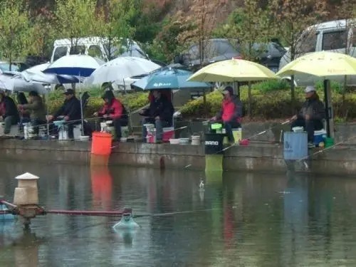 冬钓鲫鱼,老手遇“三种天气”不会下钓,钓也是白钓