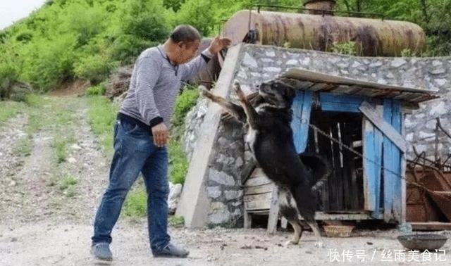 曾经百吨的玉石王,如今无人问津,仅有一人一狗看守