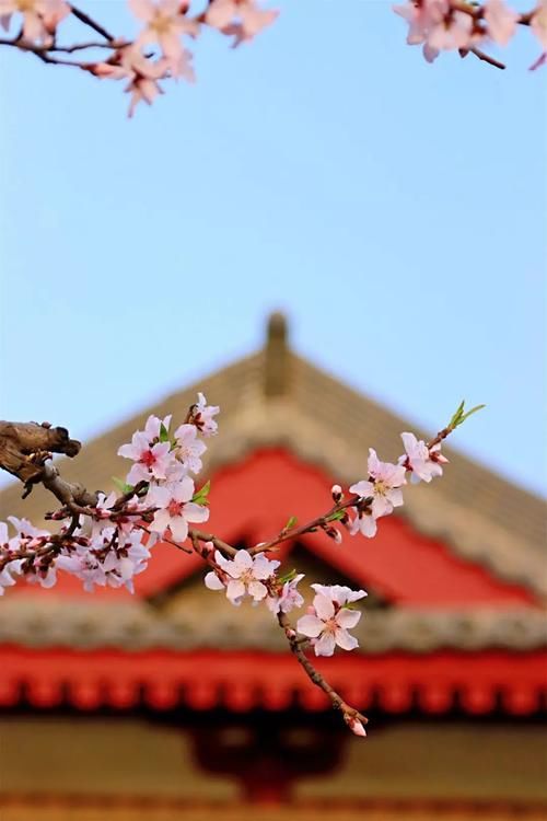 西安大唐芙蓉园的春夏秋冬，你觉得哪个美？