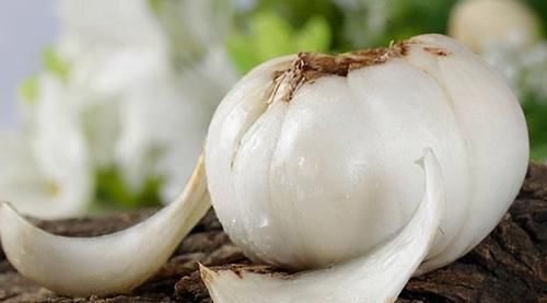 冬季老年人适合多吃3种食物，补充营养，调理肠胃，增强抵抗力