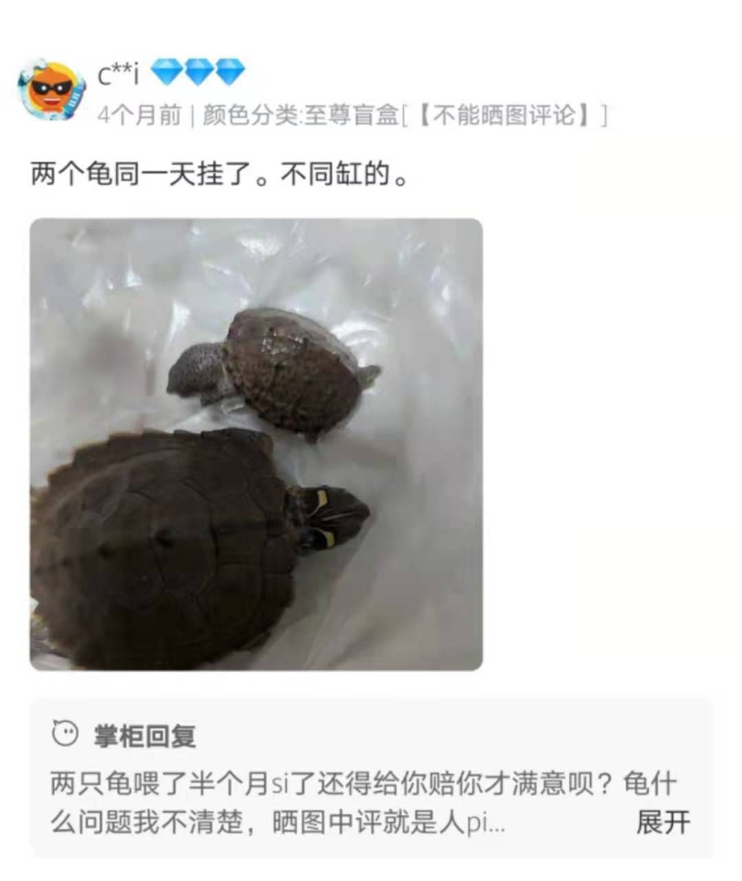 网售活体乌龟“盲盒”大热之下存隐忧 活体动物运输如何保证规范检测？