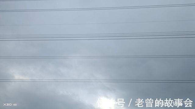 每年都有钓鱼人被蛇咬伤而倒下,最可怕的其实被我们忽略掉了!