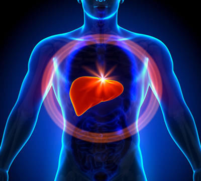 信号|养肝如养命：“6个信号”提示肝脏可能受损，2种养肝粥助养肝护肝