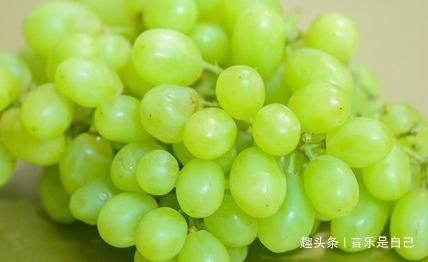 排毒|想长寿,4种食物不能少,排毒美容,呵护肌肤,预防妇科病