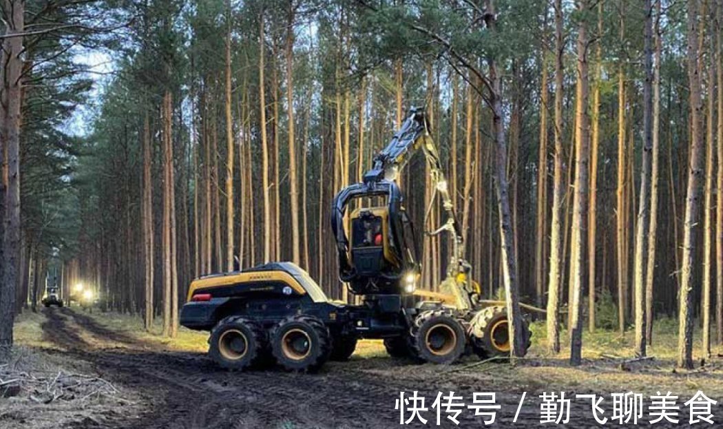 经济林|挑战“中国速度”被打脸,马斯克在德国建工厂,20个月才搭了个壳