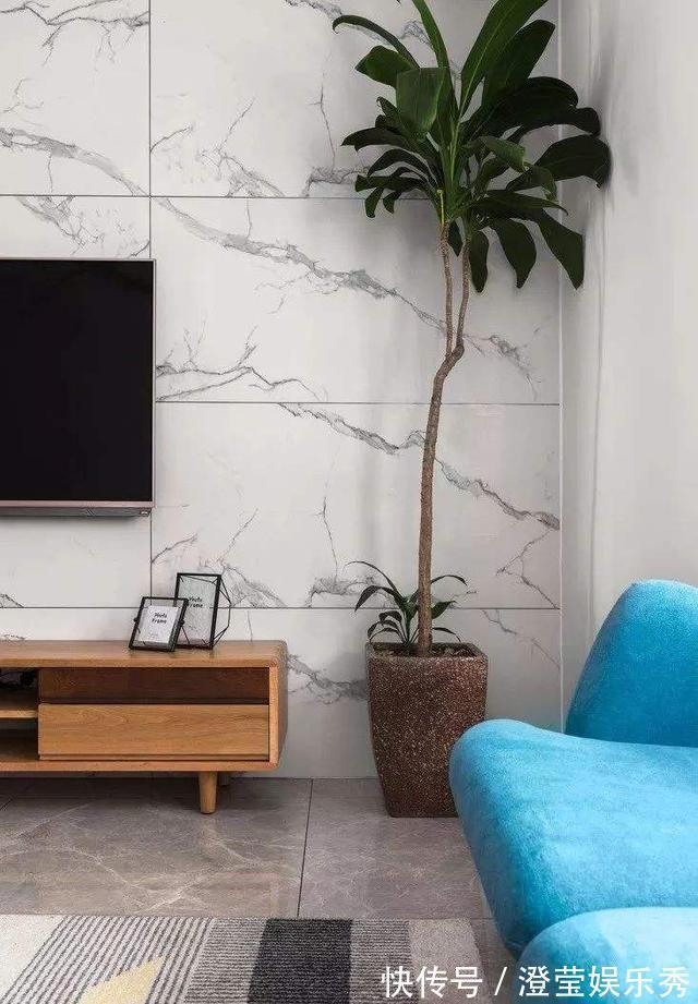 茶叶|养花,不懂得规避这9个误区,难怪盆栽一直饱受摧残