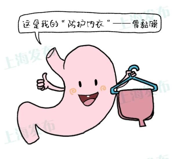 胃液|【医聊】从胃炎到胃癌,胃粘膜扛下了所有~