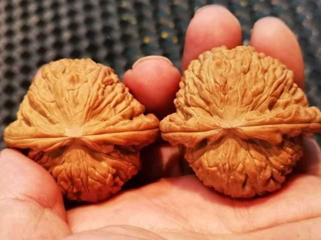 核桃|文玩核桃返油就不能盘?大错特错!这3个理由让你无法拒绝盘玩!