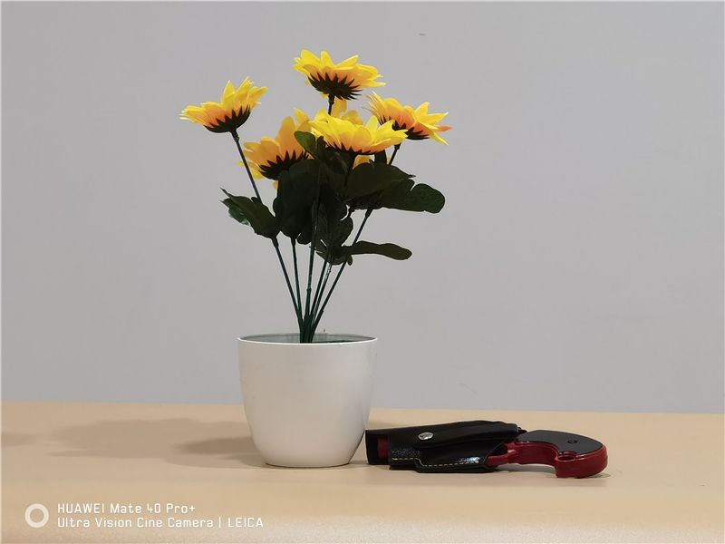 间维度|全球首款自由曲面镜头手机告别畸变!华为Mate40 Pro+超大杯评测