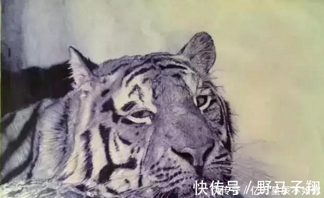 上课&少年上课画画被老师骂对不起父母，直到大师看了一眼，称他是奇才