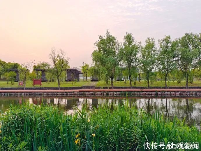 上海理工大学|这些校园里，藏着夏日最美的风景