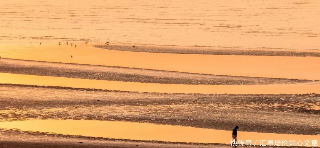 落幕|《中国诗词大会》第五季落幕,10首开场诗词,让人久久回味!