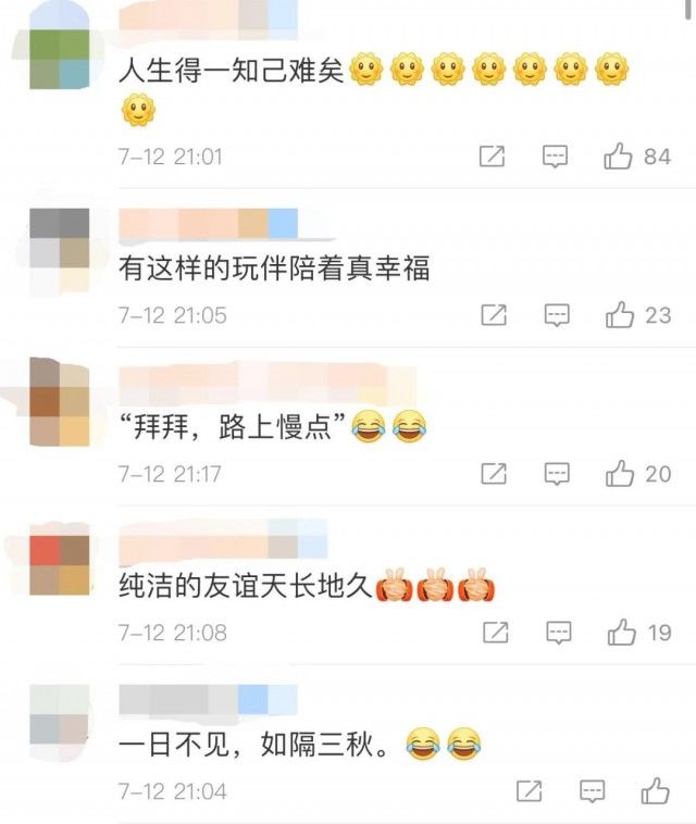 陈植|小朋友的友谊有多甜，网友：我全程姨母姑父笑……