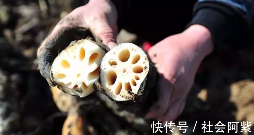 口感|买莲藕怎么区分“脆”和“糯”？卖菜大叔教我的方法，1招搞定