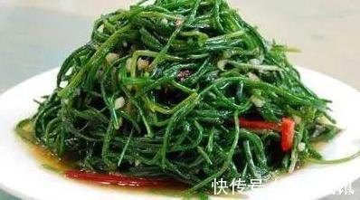 含量|农村小野菜，纤维含量高现成泡菜首选，一斤10元，见到采点