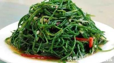 含量|农村小野菜,纤维含量高现成泡菜首选,一斤10元,见到采点