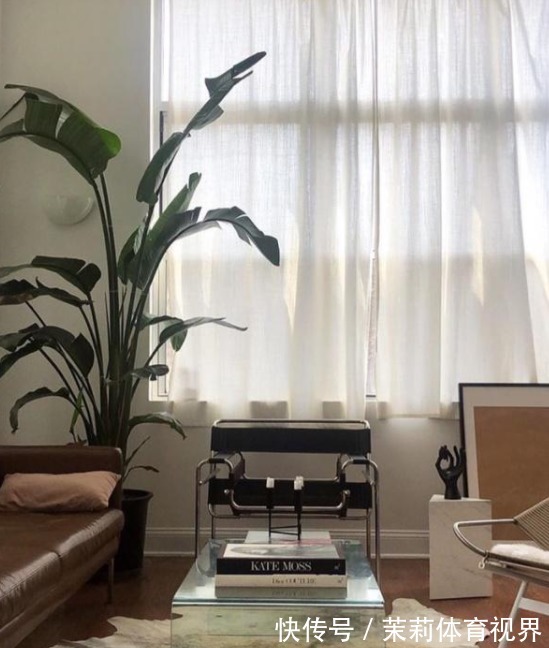 日本收纳狂魔的家,家中摆放井井有条,引众人围观学习,超厉害