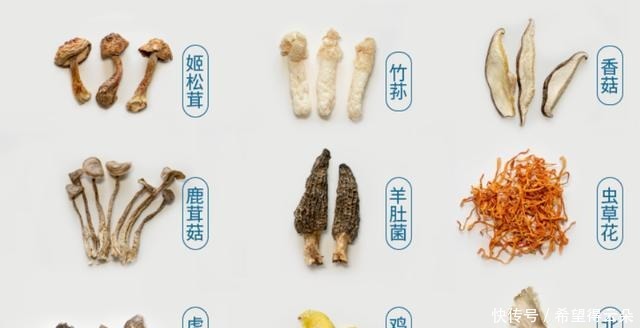  冬日，细火慢炖好时光