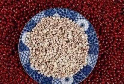  脾虚容易湿气重? 常吃这几种食物, 健脾胃, 轻松排出多年湿毒