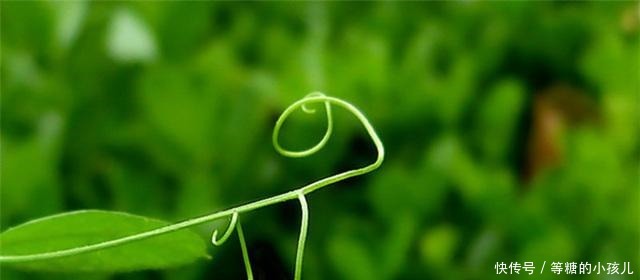 曾国藩|人生,将要走下坡路,往往会有这2个征兆,要多加注意!