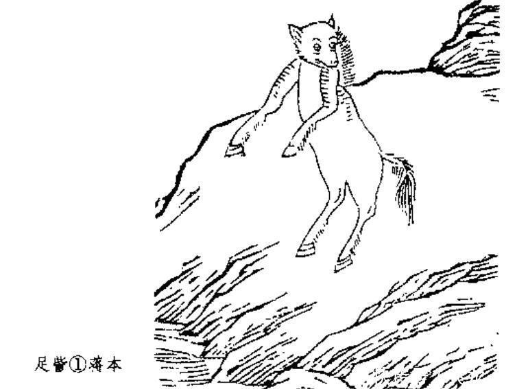 山海经|山海经北山经中的怪兽全图文解说四,其中怪兽你认识几个