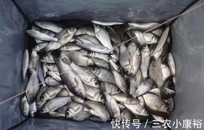 钓鱼|这里才是钓鱼的天堂
