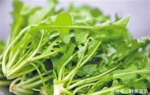 你吃过这道菜吗最喜欢吃这道菜的人