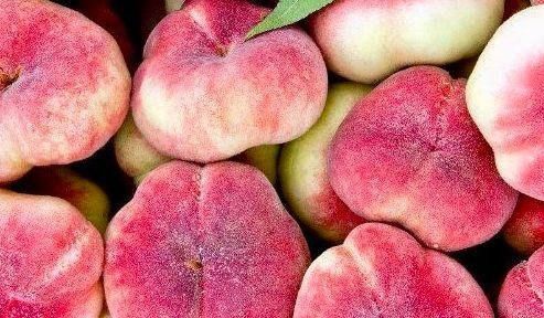 牛油果|女性坚持吃3种食物，排毒养颜、延缓衰老，身体棒棒哒！