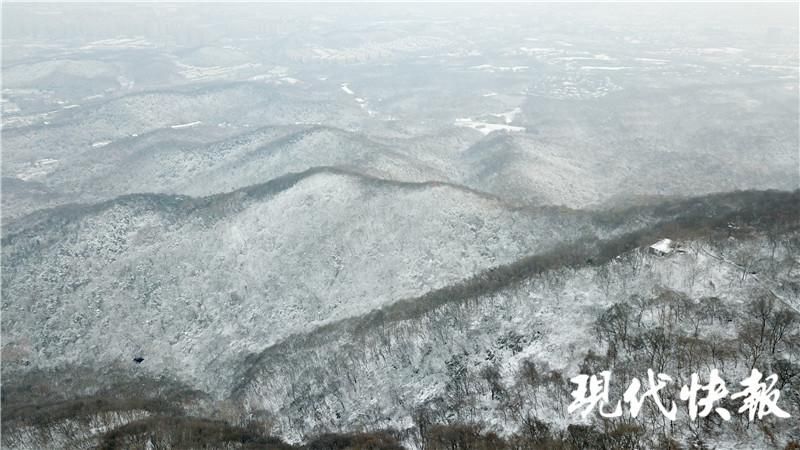 雪落|雪落紫金山，许你一个冰雪世界