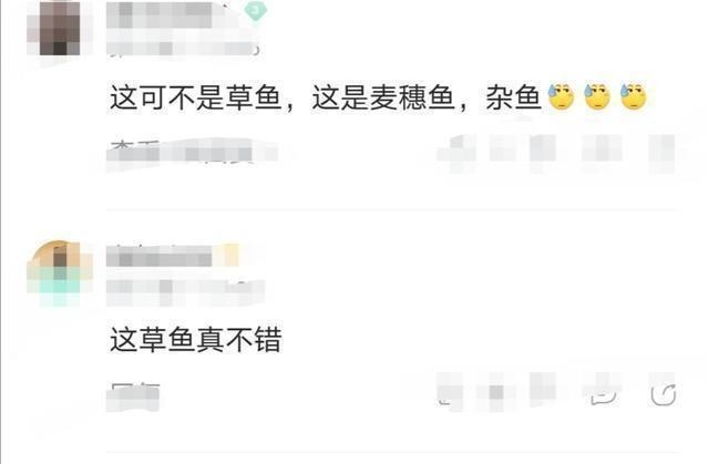 鱼盲钓了一百多条小草鱼,回家准备养起来,却成了村里的笑话