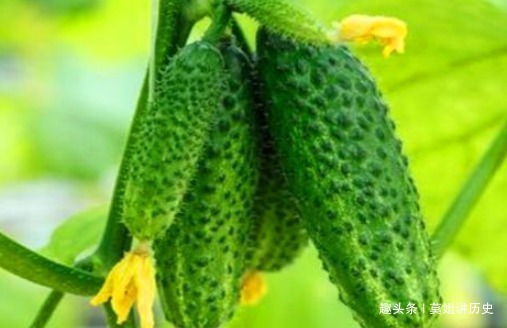 毒素|冬天女性可以坚持吃4种食物,排出毒素,净化血液,滋养女性子宫