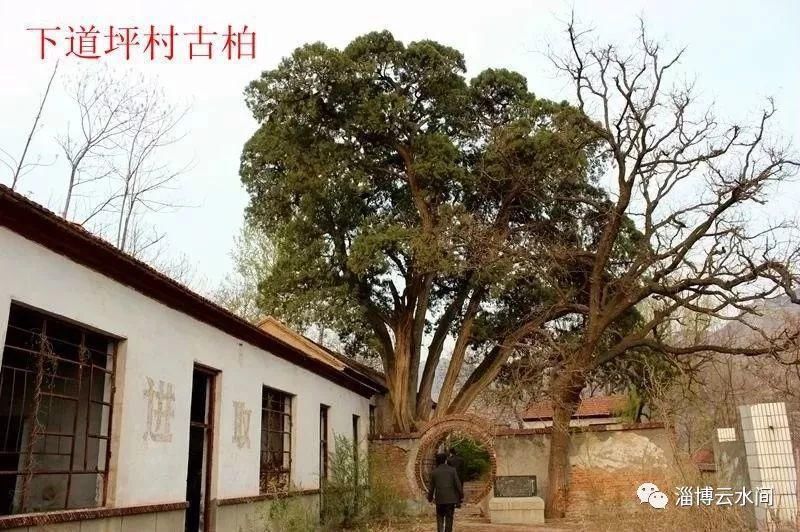 峨庄瀑布群风景区被取消A级称号！曾经的“北方九寨沟”怎么了？