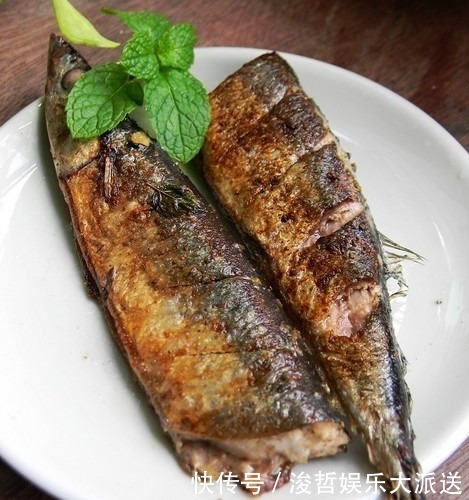 备用|这鱼在日本被称为“脑黄金”,国内4元一条没人吃,其实营养超高