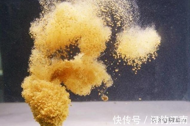 新手|户外作钓，几种常见的误区会让新手朋友栽跟头，希望没有说到你