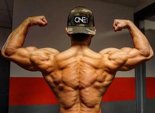 肱二头肌|关于正手vs反手引体向上，该怎么选择的问题，都有哪些肌肉参与？