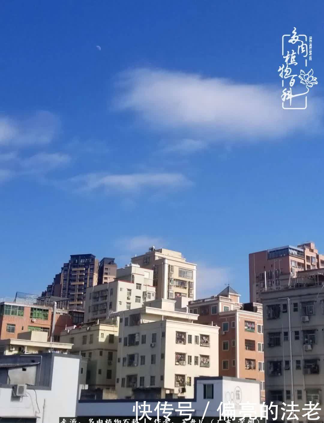 入坑一年半的新手养肉心得